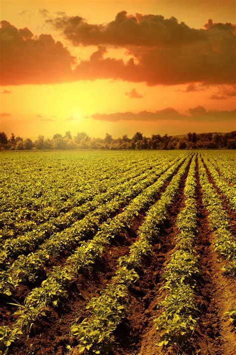 Agricultural Investment Fundamentals - AgVictus