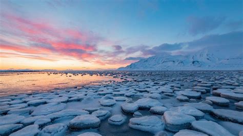 Climate change: Arctic warming linked to colder winters - BBC News