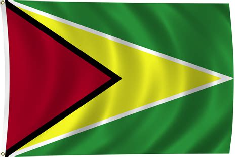 Flag of Guyana, 2011 | ClipPix ETC: Educational Photos for Students and ...