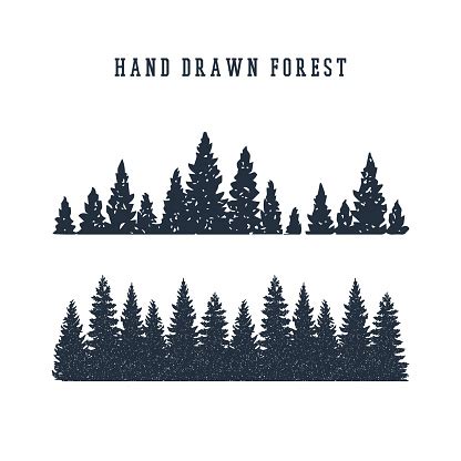 Hand Drawn Pine Forest Vector Illustration Stock Illustration ...