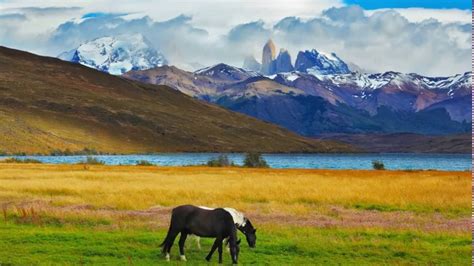 Patagonia - One of the most striking landscapes on Earth. - YouTube