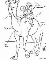 Children Is Riding Camel coloring Page  Download Print Or Color sketch template