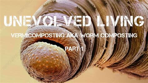 How to do Vermicomposting aka Worm Composting at Home - YouTube