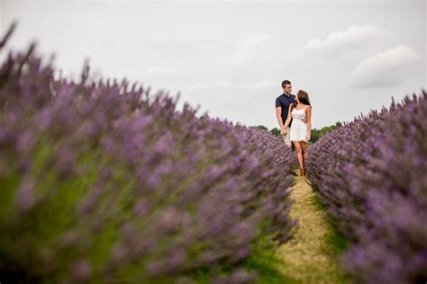 Mayfield Lavender Farm Engagement Photography