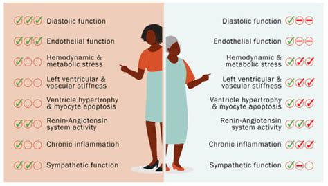 IJMS | Free Full-Text | Heart Failure in Menopause: Treatment and New Approaches