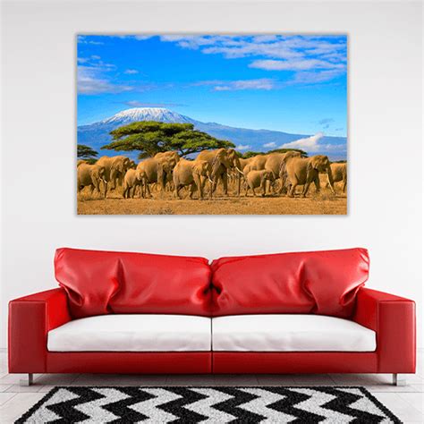 African Elephants Kenya | Cuadros Decorativos Canvas Revolution