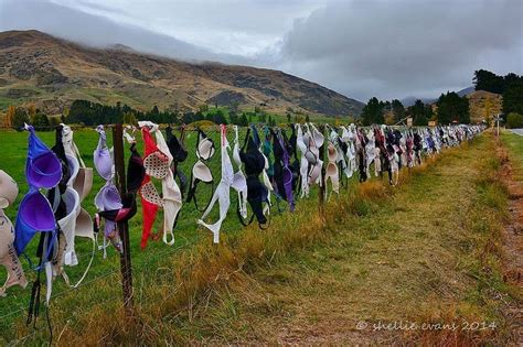 The Cardrona Bra Fence | Amusing Planet