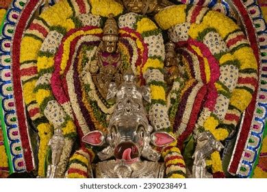 Annamalaiyar Temple Thiruvannamalai Karthigai Deepam 2023 Stock Photo 2390238491 | Shutterstock