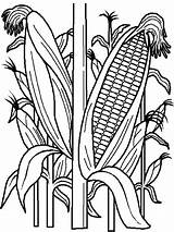Cartoon Corn Coloring Pages sketch template