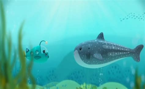 The Whale Shark | Octonauts Wiki | FANDOM powered by Wikia