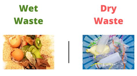 Dry Waste And Wet Waste Management | How To Segregate Waste?