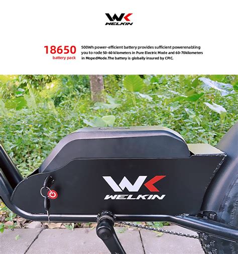 WELKIN WKEM003 Electric Bike 20 Inch 45Km/h 48V 18AH 1200W Motor Black