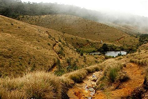 Horton Plains-World's End Tour From Nuwaraeliya 2024 - Nuwara Eliya