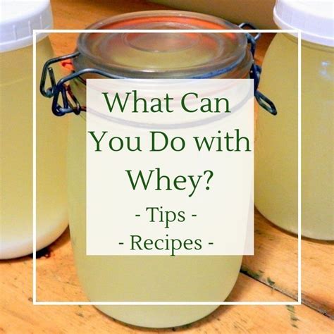 How to Use Leftover Whey From Making Cheese or Greek Yogurt | Whey recipes, Sweet whey, How to ...