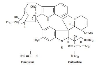 Vinca Alkaloids