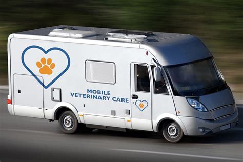 Thinking of Starting a Mobile Vet Clinic? These 4 Benefits Might Surprise You. - VitusVet