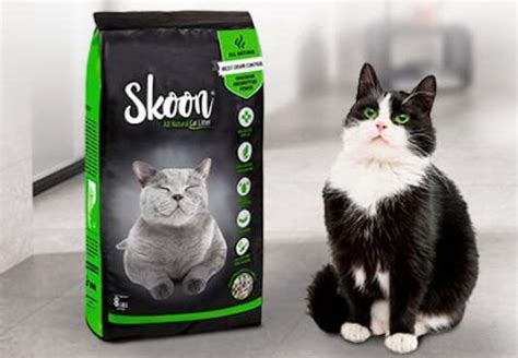 Skoon Cat Litter Review - Pros & Cons - Cat is a Friend