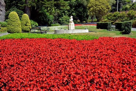 Seasonal Flower Beds at Botanic Garden in Wellington, New Zealand ...