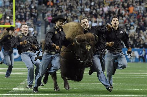 Why I’m a fan of the Colorado Buffaloes