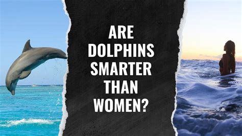 Are Dolphins Smarter Than Women? Intelligence Across Species | DolphinXpert