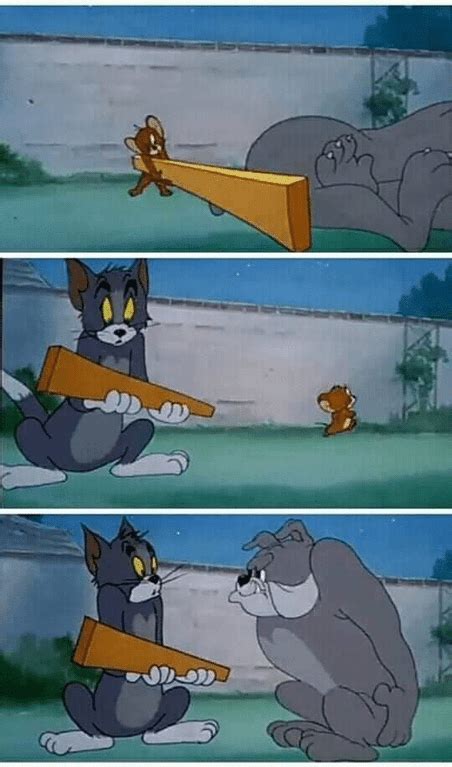 Jerry hitting dog with board and blaming Tom : MemeTemplatesOfficial Fail Humor, Abgedrehter ...