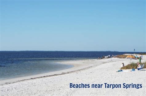 Beaches Near Tarpon Springs Florida - Hickory Point RV Park