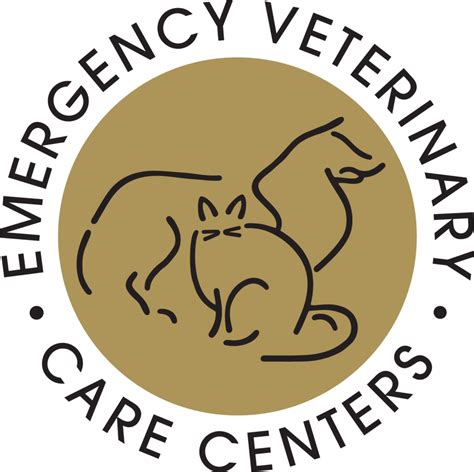 Cat Seizures: Causes and Symptoms | Emergency Veterinary Care Centers