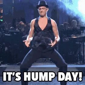 Hump Day Wednesday GIF - HumpDay JosephGordonLevitt Humping - Discover & Share GIFs