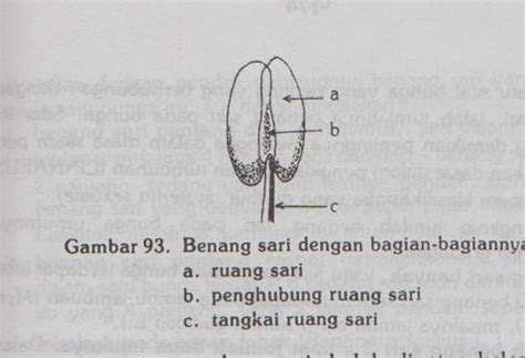 Blog untuk semua: BENANG SARI