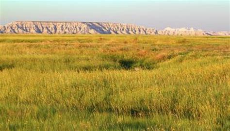 Characteristics of Grassland Biomes | Sciencing