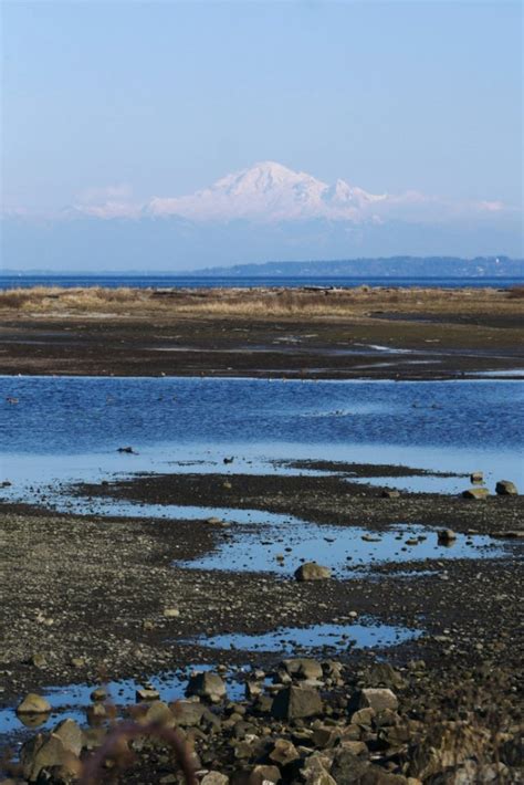 Boundary Bay Dyke Trail - A walk and a lark