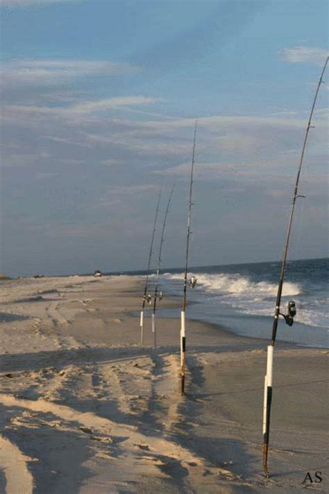 Best Surf Fishing Rods For New Surf Fishers | A Listly List