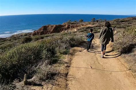 Beach Trail Guide - Torrey Pines State Reserve | Outdoor SoCal