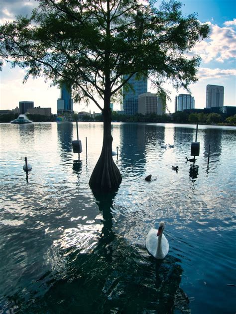 Exploring Lake Eola | MYFOTOLIFE