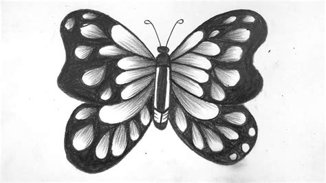 Butterfly Drawing, Pencil, Sketch, Colorful, Realistic Art Images ...