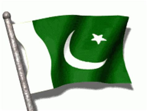 Pakistani Flag GIF - Pakistani Flag - Discover & Share GIFs