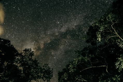 Photo of Starry Sky During Nighttime · Free Stock Photo