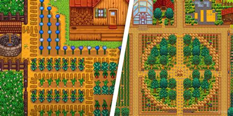 Which Crops Should You Plant In Spring In Stardew Valley?