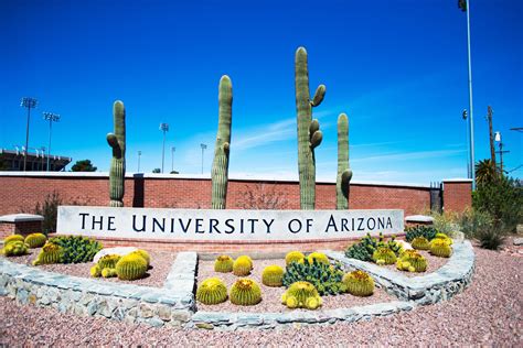 University of Arizona Story by Libby