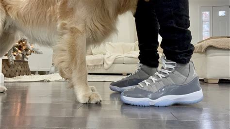 Cool Grey 11s On Feet