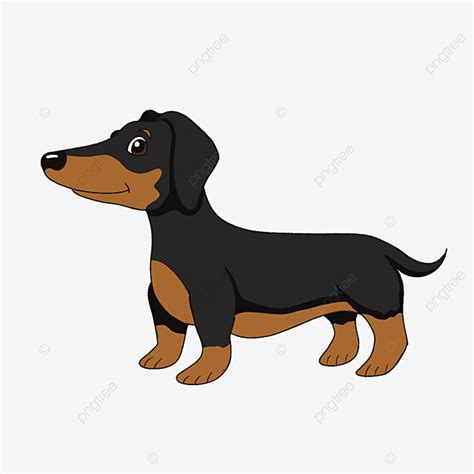 The Tops Of Dachshund clip art Inspiration Ideas – Find Art Out For ...