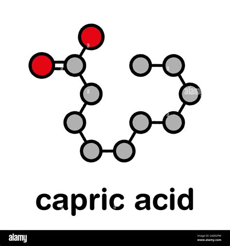 Capric (decanoic) acid molecule. Common saturated fatty acid. Stylized skeletal formula ...