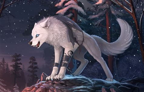 furry, Wolf, Animals Wallpapers HD / Desktop and Mobile Backgrounds