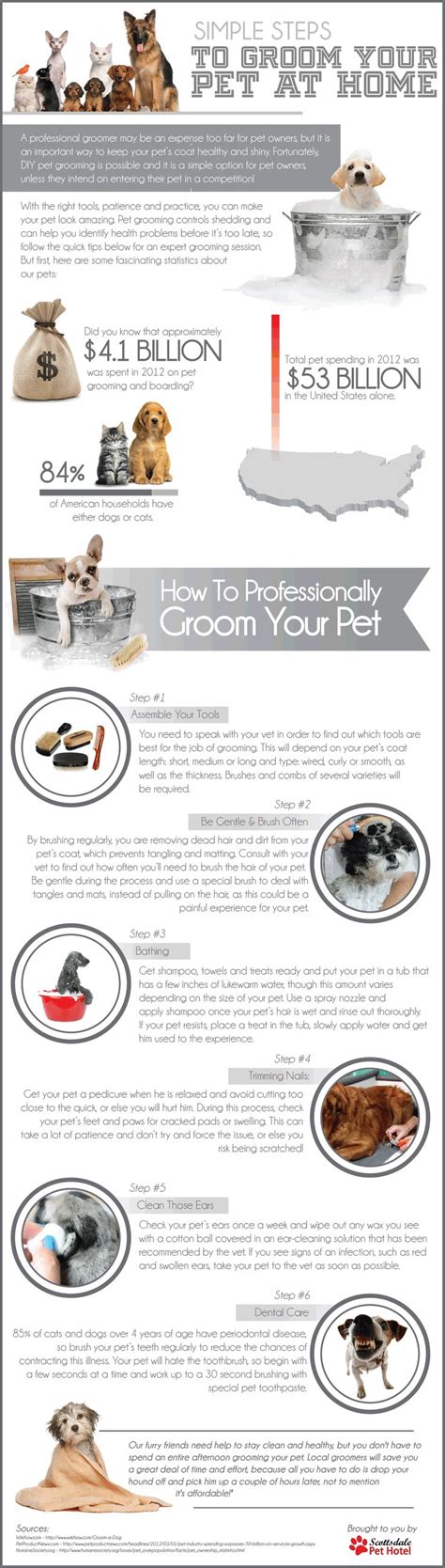 Simple Steps to Groom Your Pet at Home | Visual.ly | Dog grooming tips ...