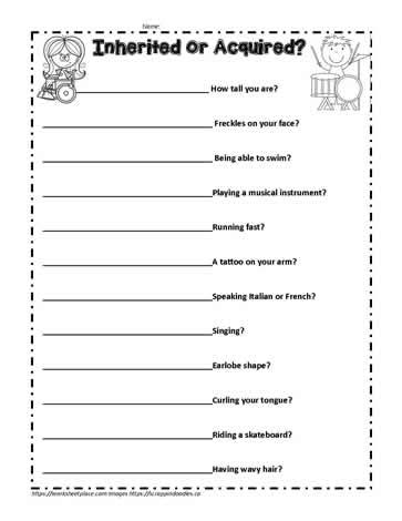 Inherited or Acquired Traits Activity Worksheets