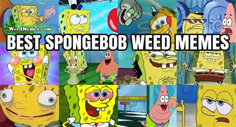 Best Spongebob Weed Memes Funny - Weed Memes