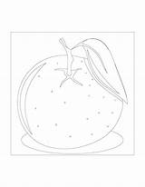 Orange Coloring Pages – Printable Coloring Pages FREE sketch template