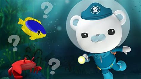 Octonauts Games - CBeebies - BBC