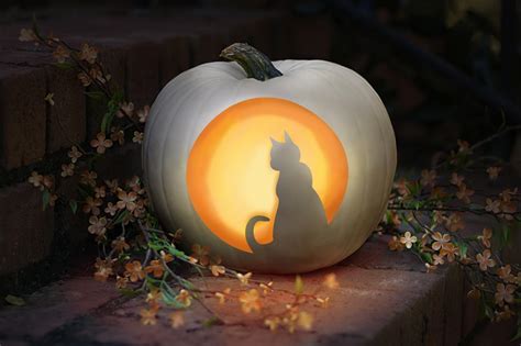 Cat Pumpkin Carving Templates