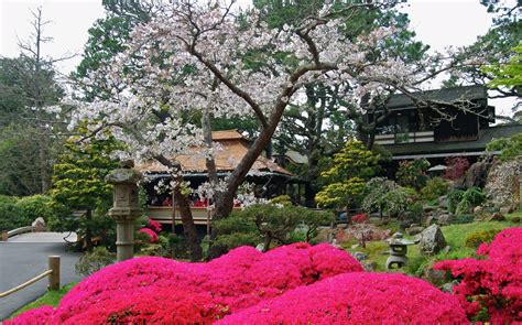 Azaleas Japanese Garden #6936234